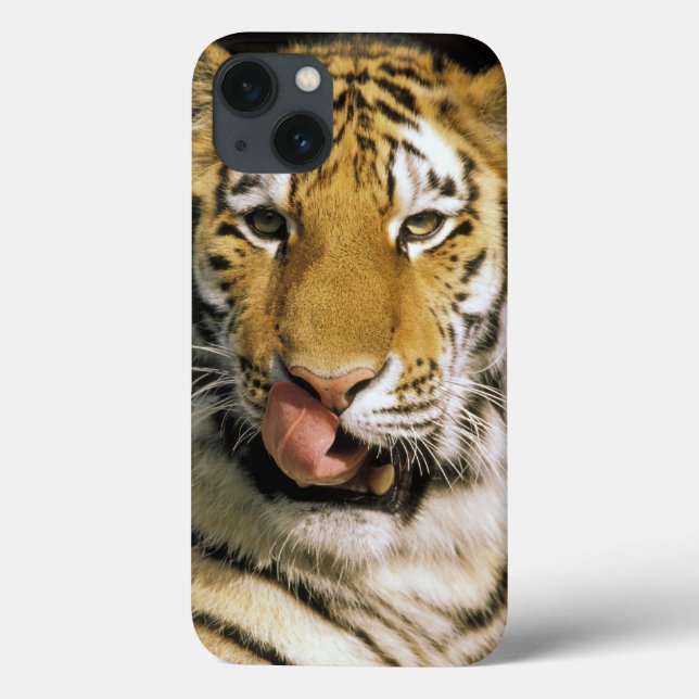 Funda De Case-Mate Para iPhone Estados Unidos, Michigan, Detroit. Zoológico de De (Reverso)