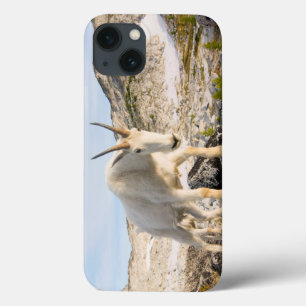 title_seo2 Estados Unidos, Washington, Cascade Range 3