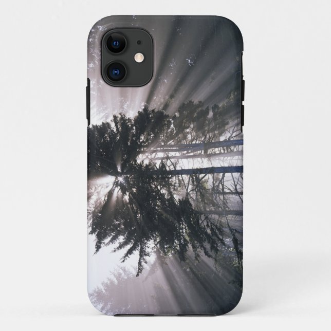 Funda De Case-Mate Para iPhone Estados Unidos, Washington, Parque Nacional Olímpi (Reverso)