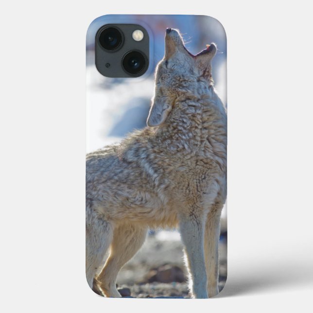 Funda De Case-Mate Para iPhone Estados Unidos, Wyoming, Parque Nacional Yellowsto (Reverso)