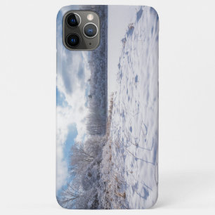 Funda Para iPhone 11 Pro Max Estanques cubiertos de nieve y bosques en las coli