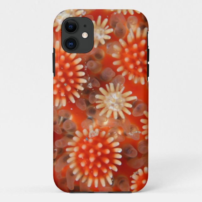 Funda De Case-Mate Para iPhone Estrella de mar macra (Reverso)