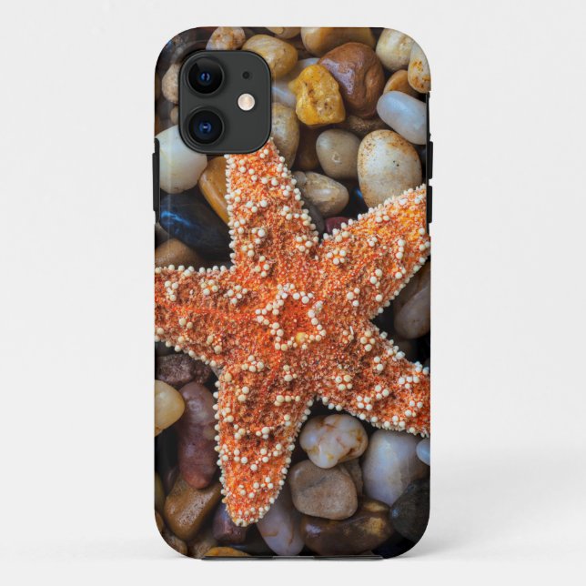 Funda De Case-Mate Para iPhone Estrellas de mar en rocas (Reverso)