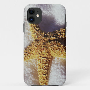 Funda Para iPhone 11 Estrellas de mar en una toalla