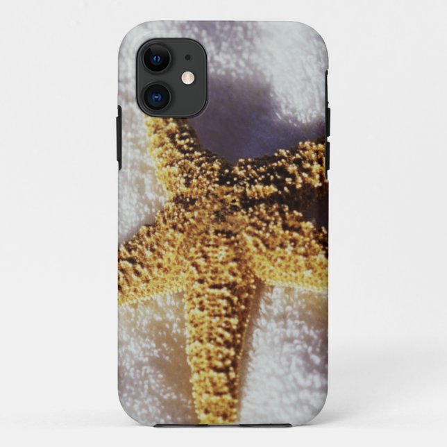 Funda De Case-Mate Para iPhone Estrellas de mar en una toalla (Reverso)