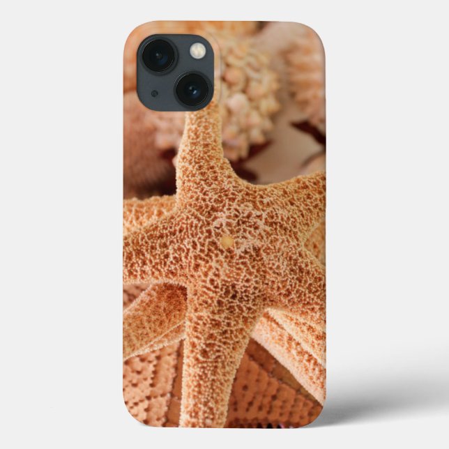 Funda De Case-Mate Para iPhone Estrellas marinas secas vendidas como souvenirs (Reverso)