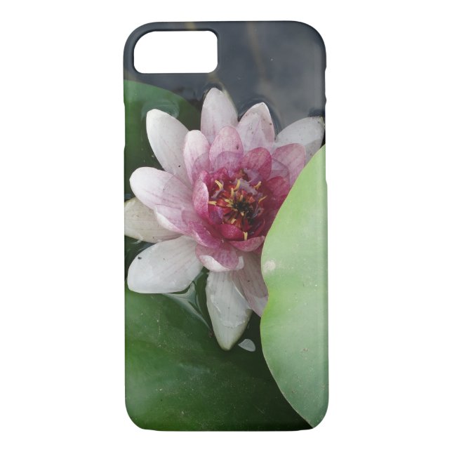 Funda De Case-Mate Para iPhone Estuche Beauty iPhone / iPad (Reverso)