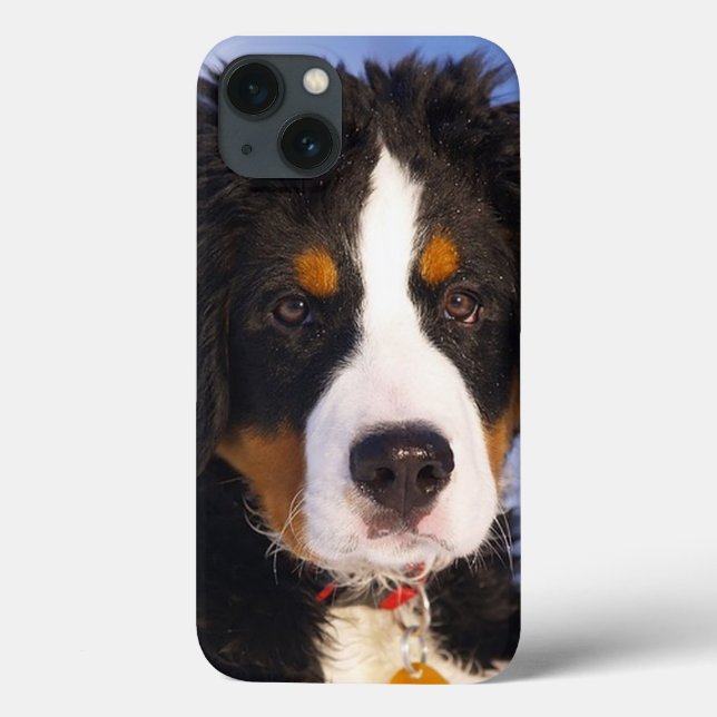 Funda De Case-Mate Para iPhone estuche Bernese Mountain Dog Pup iPad (Reverso)