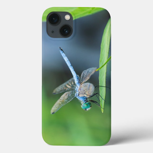 Funda De Case-Mate Para iPhone Estuche Blue Dragonfly para iPad o Phone (Reverso)
