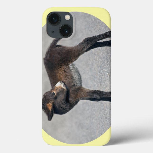 Funda De Case-Mate Para iPhone Estuche Burro iPad (Reverso)