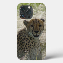 Funda Para iPhone 13 Pro Estuche Cheetah iPhone / iPad