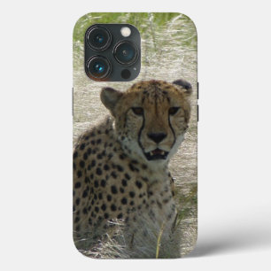 Funda Para iPhone 13 Pro Estuche Cheetah iPhone / iPad