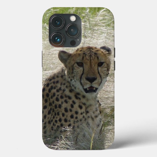 Funda De Case-Mate Para iPhone Estuche Cheetah iPhone / iPad (Reverso )