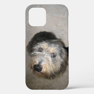 Funda Para iPhone 12 Estuche Cute dog Funda-Mate para iPhone