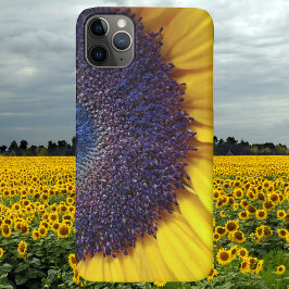 Funda Para iPhone 11 Pro Max Estuche De Acercamiento De Girasol Apenas Hay Telé
