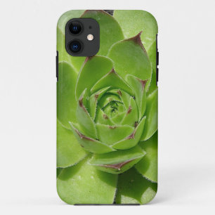 Funda Para iPhone 11 Estuche de iPhone correcto