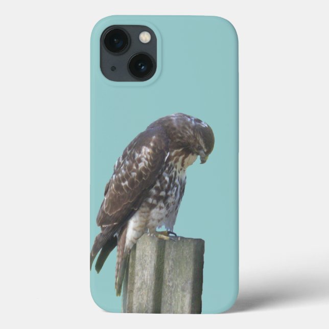 Funda De Case-Mate Para iPhone Estuche de teléfono - Falcon (Reverso)