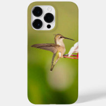 Estuche de teléfono IP de Hummingbird con trompa d
