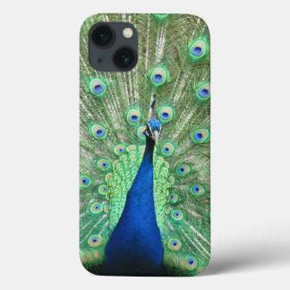 Funda Para iPhone 13 Estuche de teléfono - Orgulloso Peacock