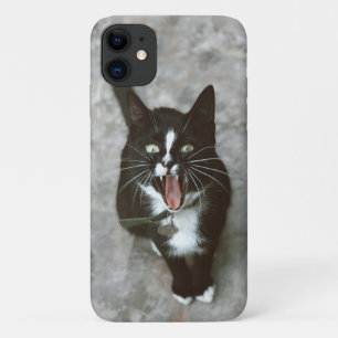 Funda Para iPhone 11 Estuche de teléfono para gato furioso - Diseño aud
