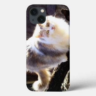 Funda Para iPhone 13 Estuche Dilute Calico Maine Coon Cat iPad