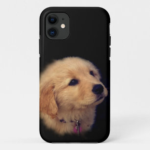 Funda Para iPhone 11 Estuche Golden Retriever Puppy iPhone