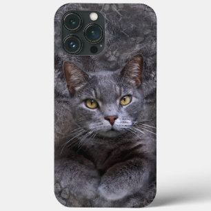 Funda Para iPhone 13 Pro Max Estuche Gris Cat Phone