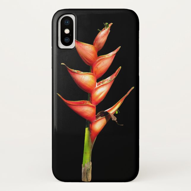 Funda De Case-Mate Para iPhone Estuche Heliconia iPhone (Reverso)