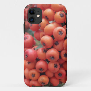 Funda Para iPhone 11 estuche iPhone / iPad
