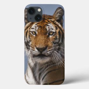 title_seo2 Estuche Lola iPad