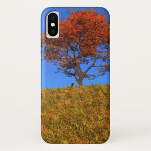 title_seo2 Estuche-mate para iPhone para el día de otoño