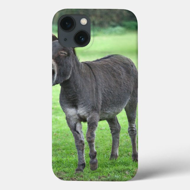 Funda De Case-Mate Para iPhone Estuche Mini para el iPad de Donkey Laugh (Reverso)