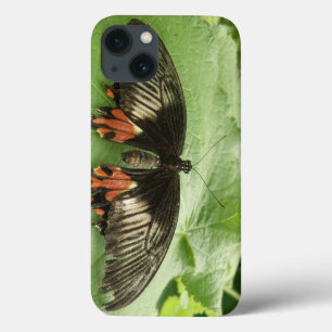 title_seo2 Estuche mini para iPad de mariposa dorada y rojo n