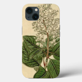 Funda Para iPhone 13 Estuche para iPhone Arbutus Menziesii