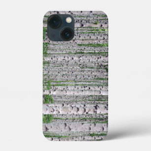 Funda Para iPhone 13 Mini Estuche para iPhone Birch Tree Forest Nature