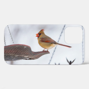 Funda Para iPhone 12 Estuche para iPhone Cardinal Lunch Time para mujer