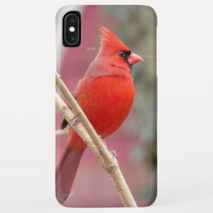 Funda Para iPhone XS Max Estuche para iPhone Cardinal Rojo