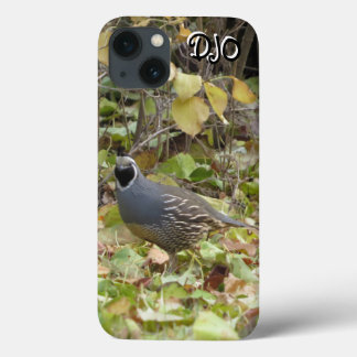 Funda Para iPhone 13 Estuche para iPhone de California Quail Funda-Mate