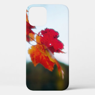 Funda Para iPhone 12 Estuche para iPhone de hojas de otoño