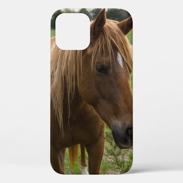 Funda De Case-Mate Para iPhone Estuche para iPhone de Horse Hello (Reverso )
