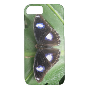 Funda Para iPhone 8/7 Estuche para iPhone de mariposa con manchas azules