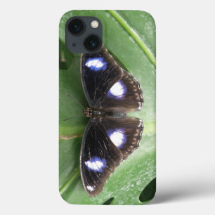 Funda Para iPhone 13 Estuche para iPhone de mariposa con manchas azules