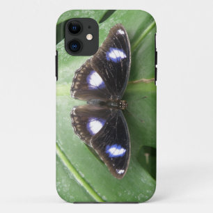 title_seo2 Estuche para iPhone de mariposa con manchas azules