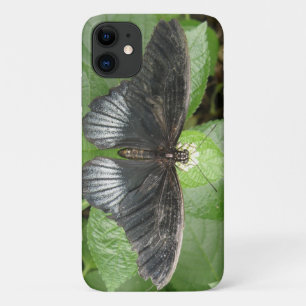Funda Para iPhone 11 Estuche para iPhone de mariposa tropical y flores