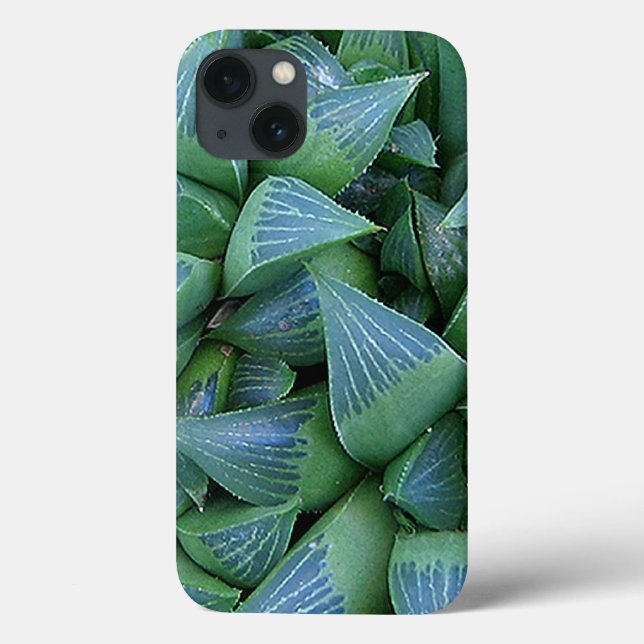 Funda De Case-Mate Para iPhone Estuche para iPhone de plantas suculentas Green Ha (Reverso)
