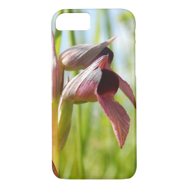 Funda De Case-Mate Para iPhone Estuche para iPhone de Tongue Orchid (Reverso)