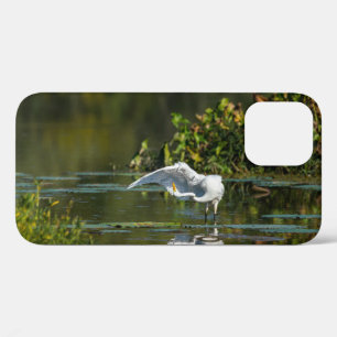 Funda Para iPhone 12 Estuche para iPhone Egret Wing Exam