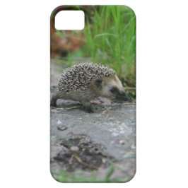 Funda Para iPhone 11 Estuche para iPhone Hedgehog