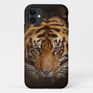 Funda Para iPhone 11 Estuche para iPhone móvil de Bella Artes Wild Tige