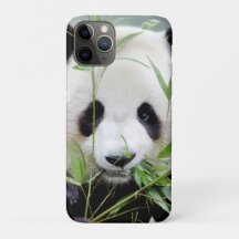 Estuche para iPhone Panda gigante de la foto , ani